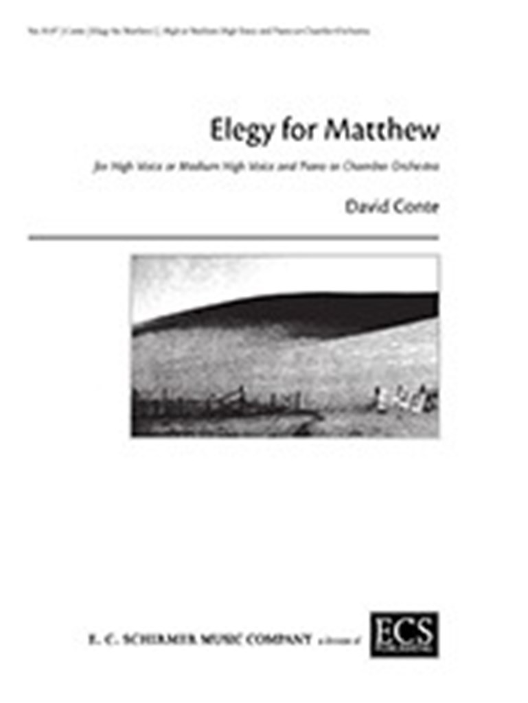 Elegy for Matthew